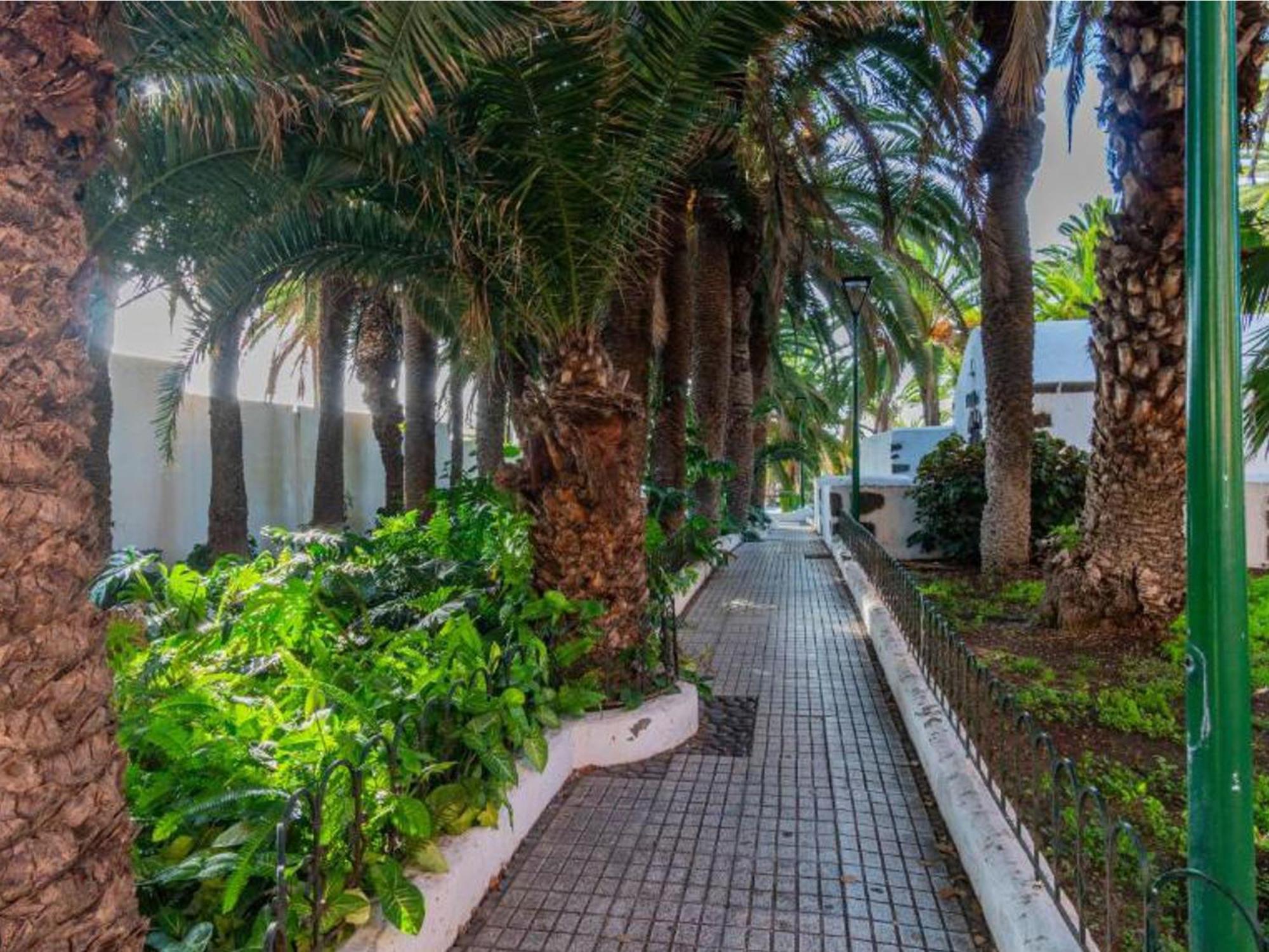 Live Puerto Valle Luz Puerto de la Cruz (Tenerife) Exterior foto